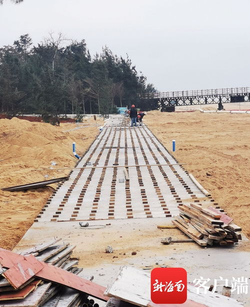 原創組圖 ?？谖骱０敦炌ǜ鹿こ套钚逻M展 國際會展中心附近沿海新建路完成瀝青路面鋪設